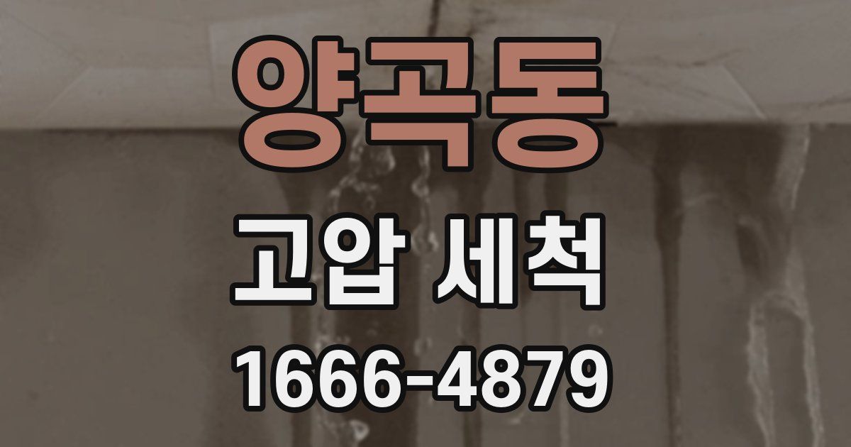 양곡동 고압 세척