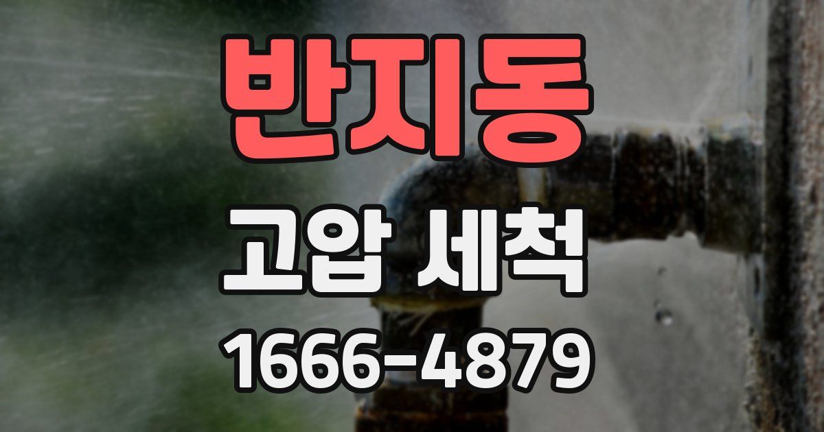 반지동 고압 세척