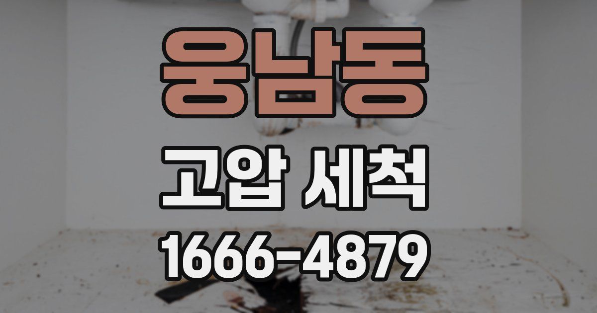 웅남동 고압 세척
