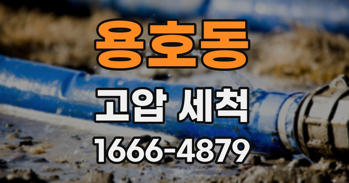 용호동 고압 세척