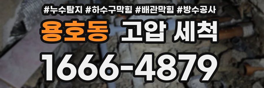 용호동 고압 세척