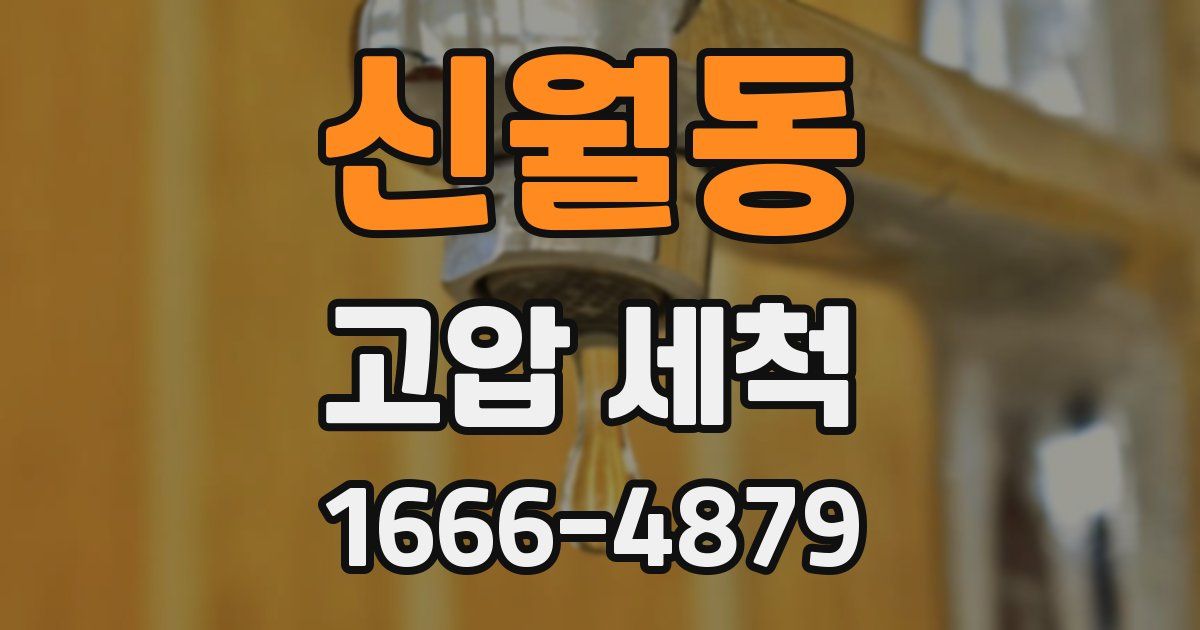 신월동 고압 세척