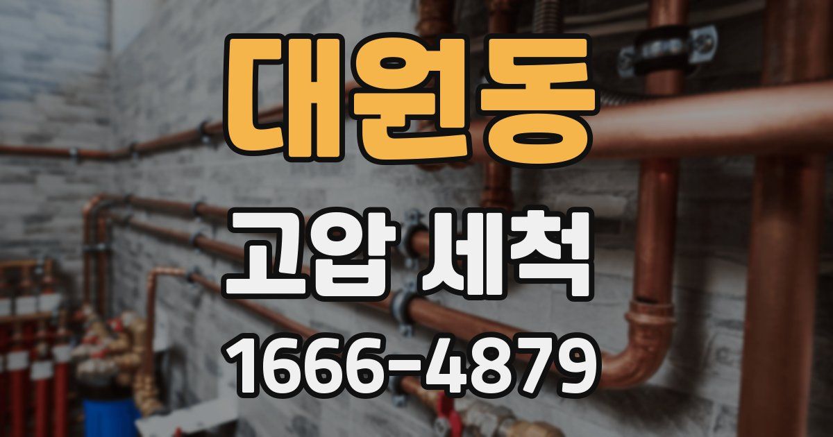 대원동 고압 세척