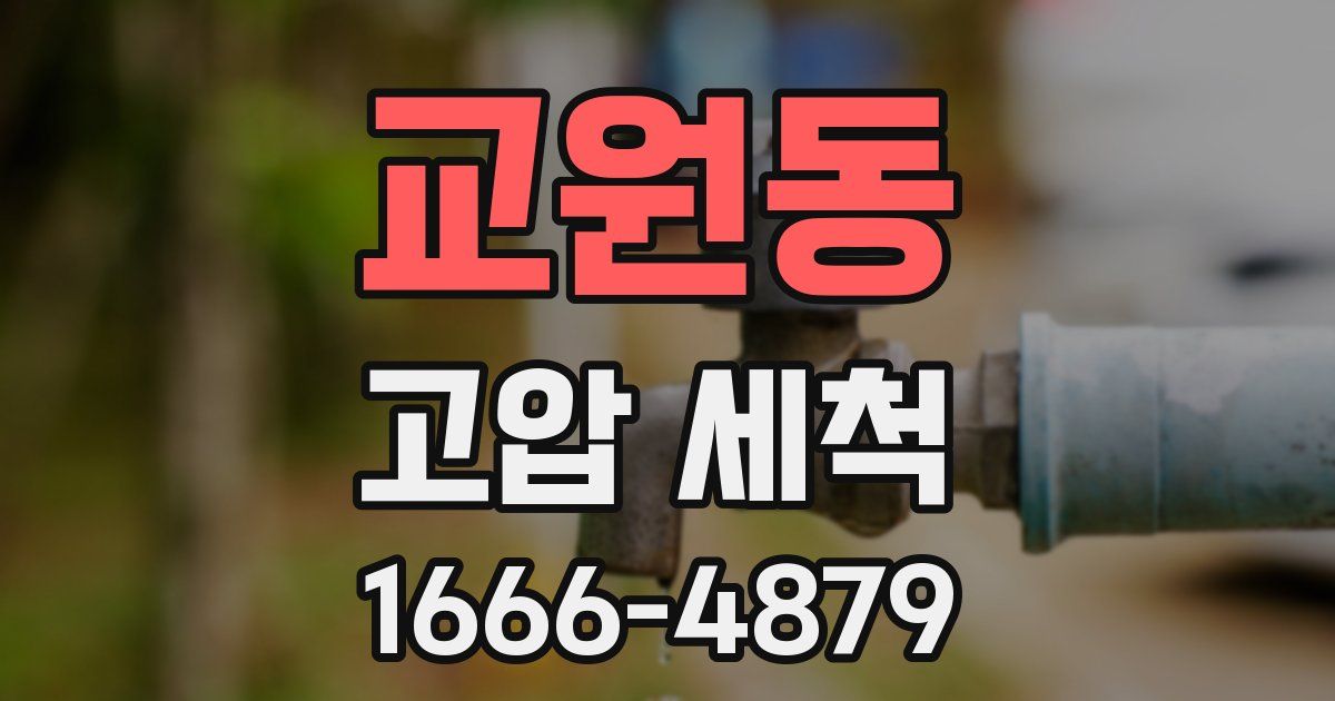 교원동 고압 세척