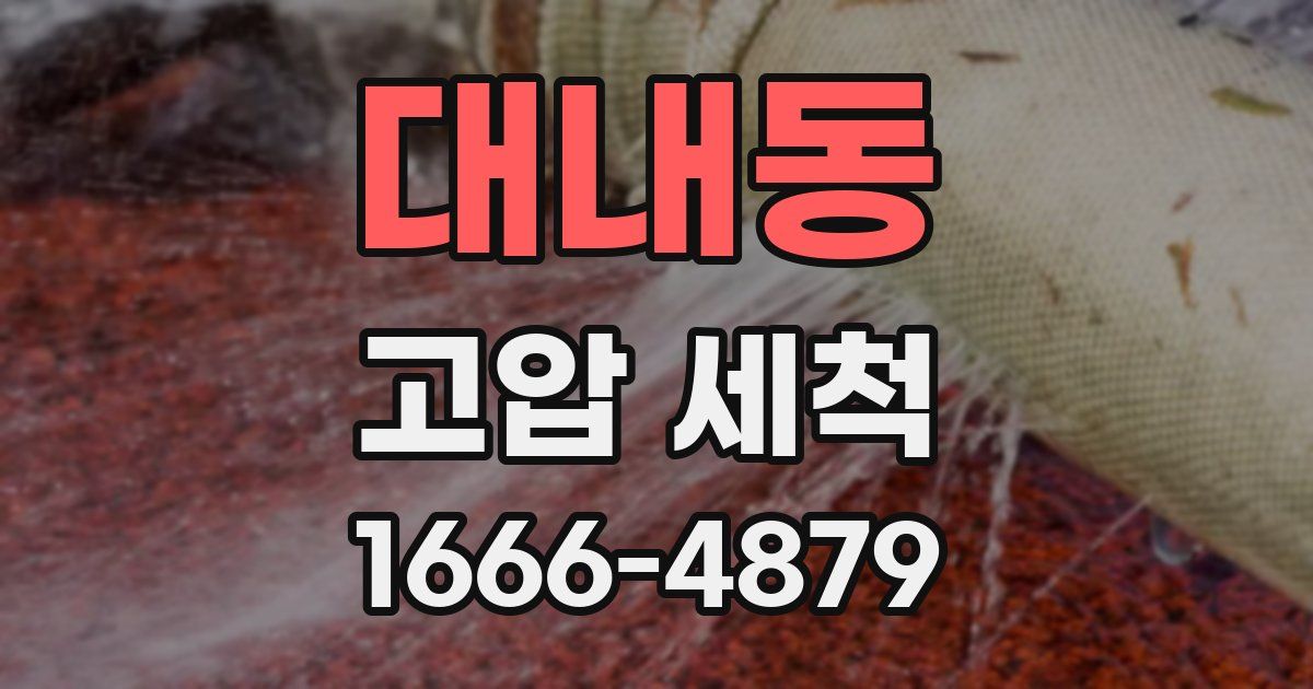 대내동 고압 세척