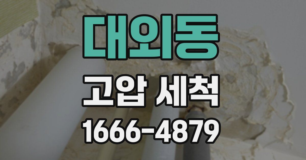 대외동 고압 세척