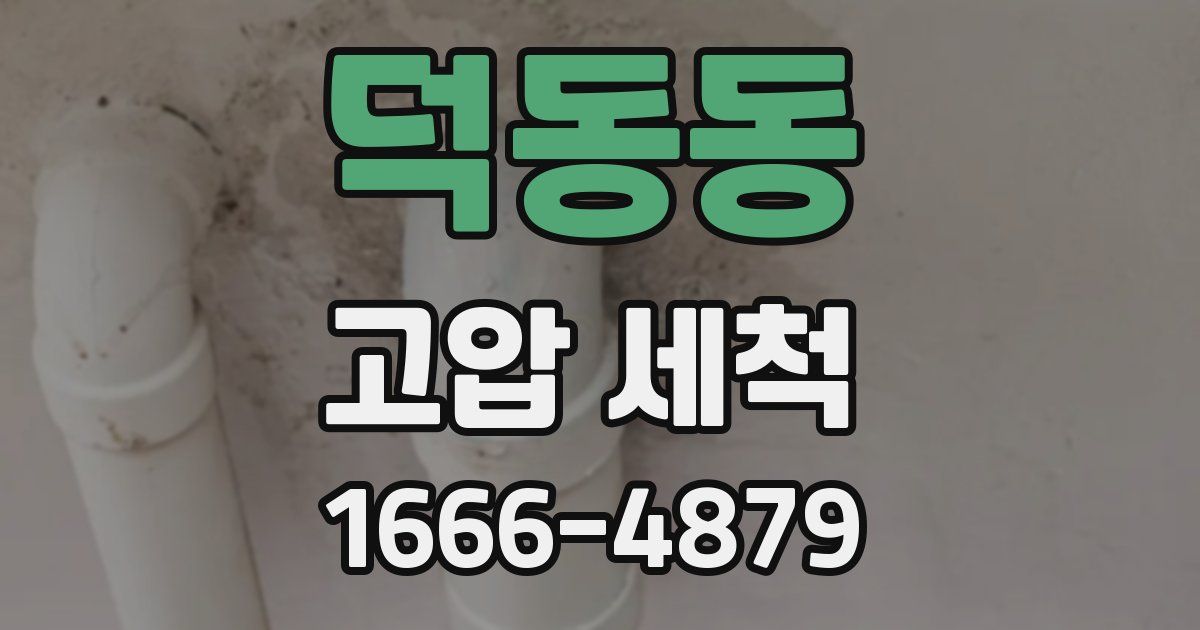 덕동동 고압 세척