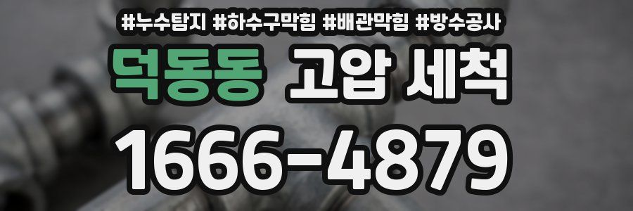 덕동동 고압 세척