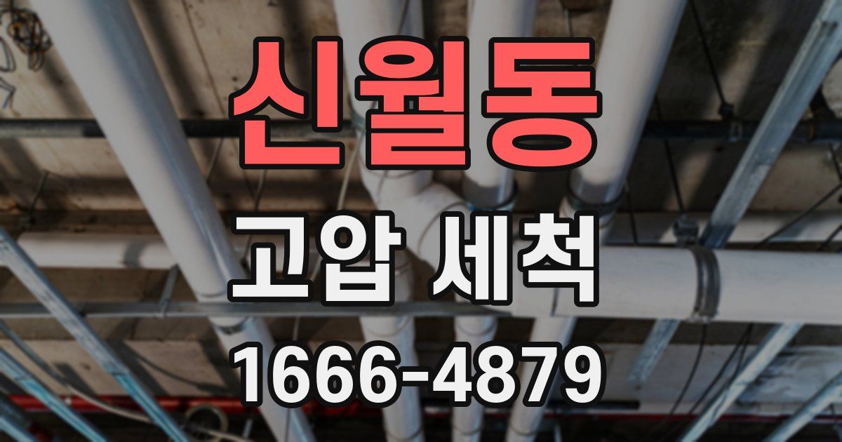 신월동 고압 세척