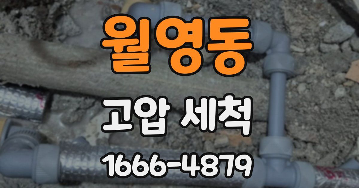 월영동 고압 세척