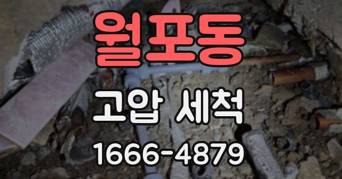 월포동 고압 세척