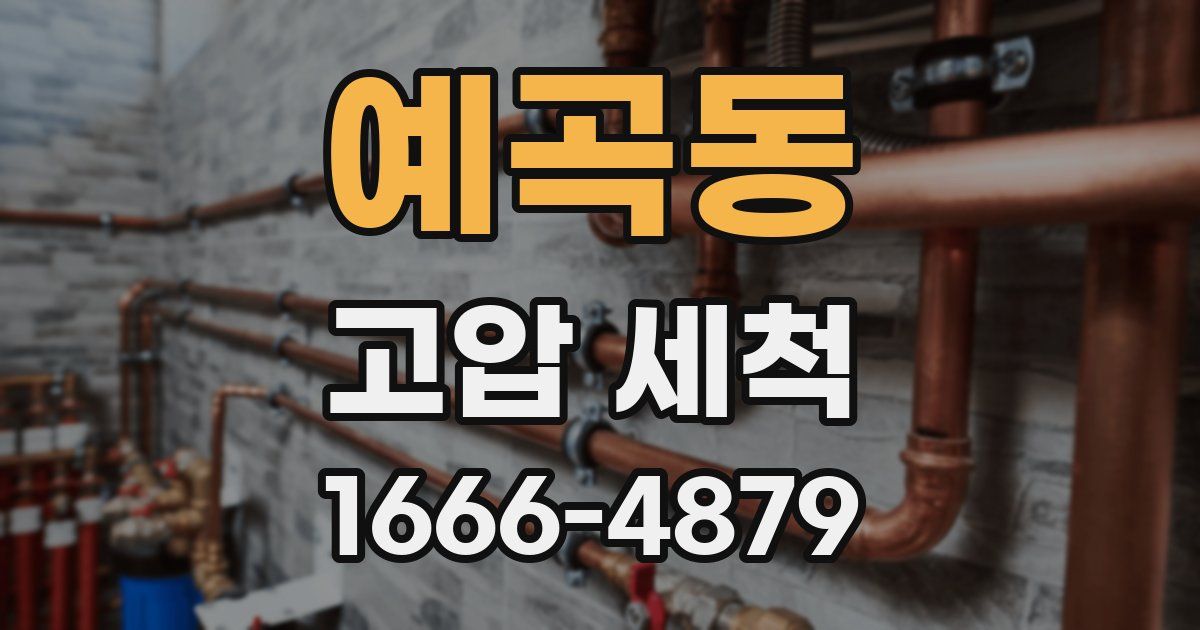 예곡동 고압 세척