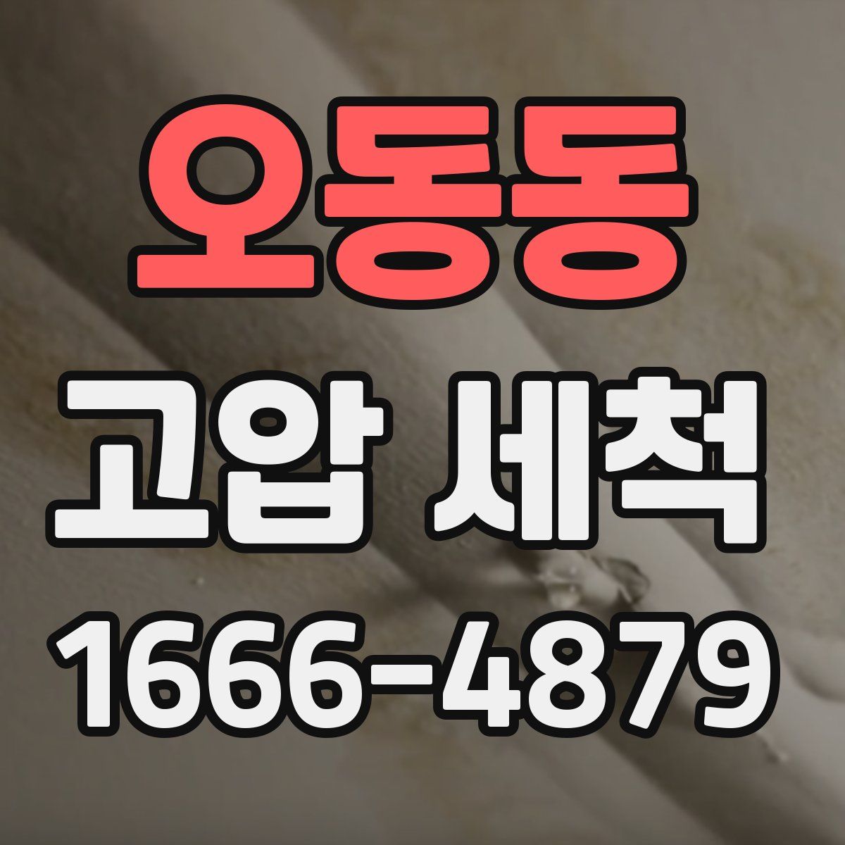 오동동 고압 세척
