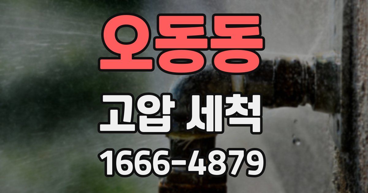 오동동 고압 세척