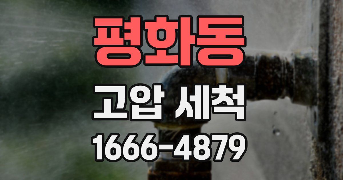 평화동 고압 세척