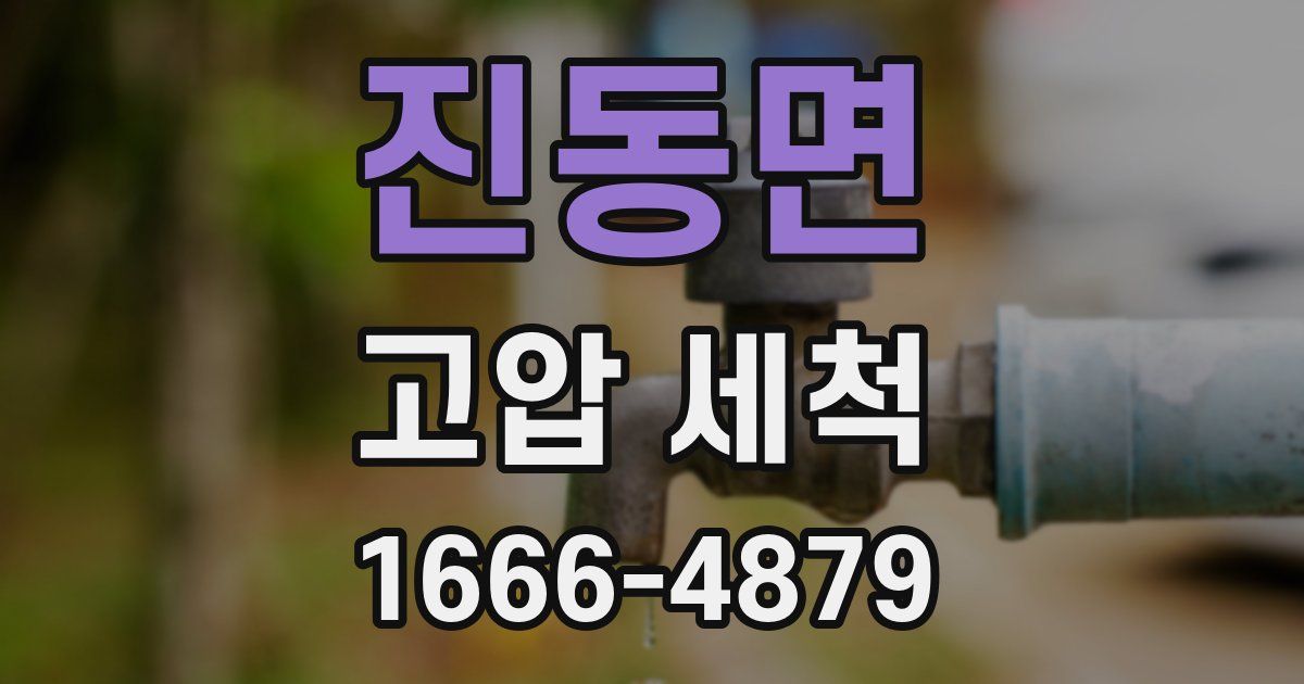진동면 고압 세척
