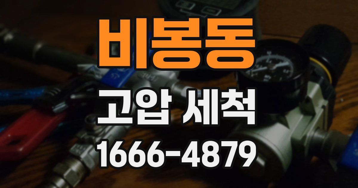 비봉동 고압 세척