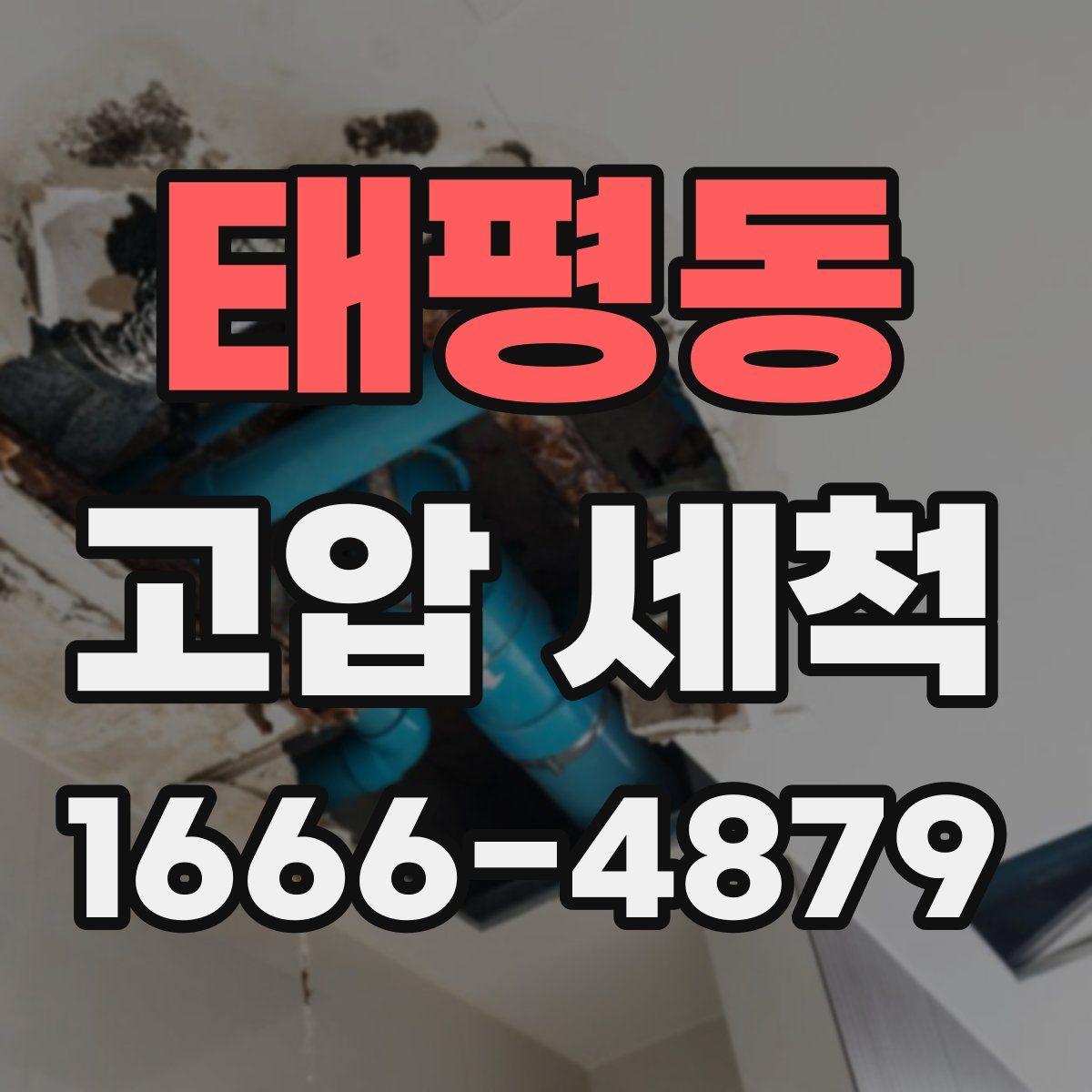 태평동 고압 세척