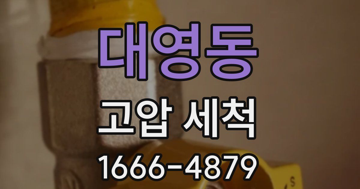 대영동 고압 세척