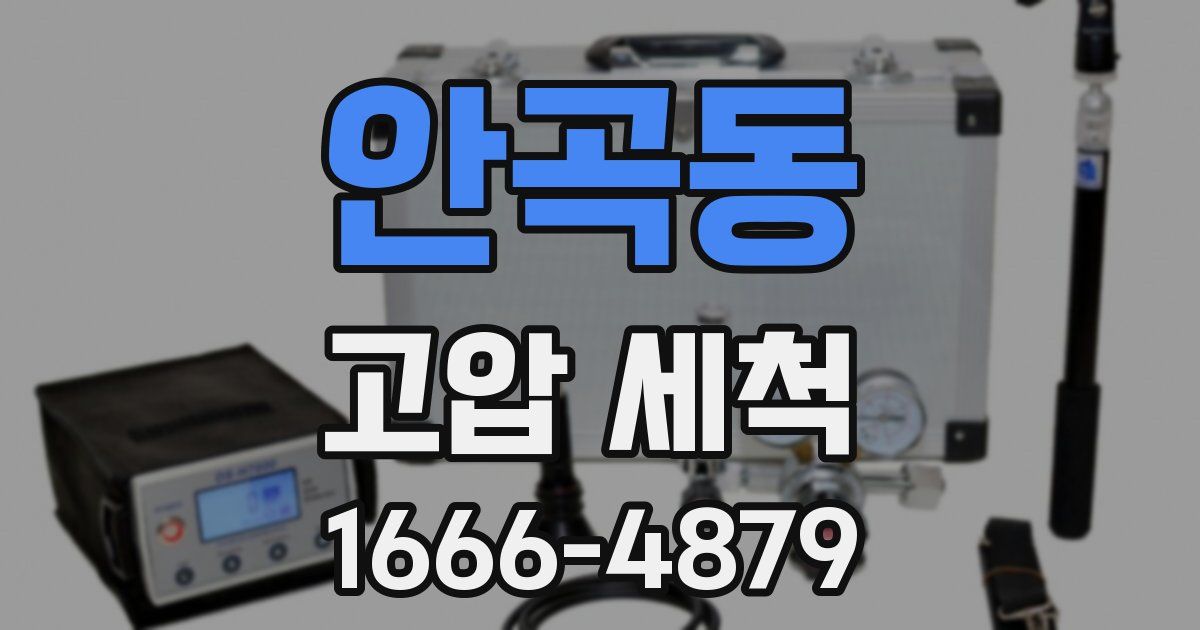 안곡동 고압 세척