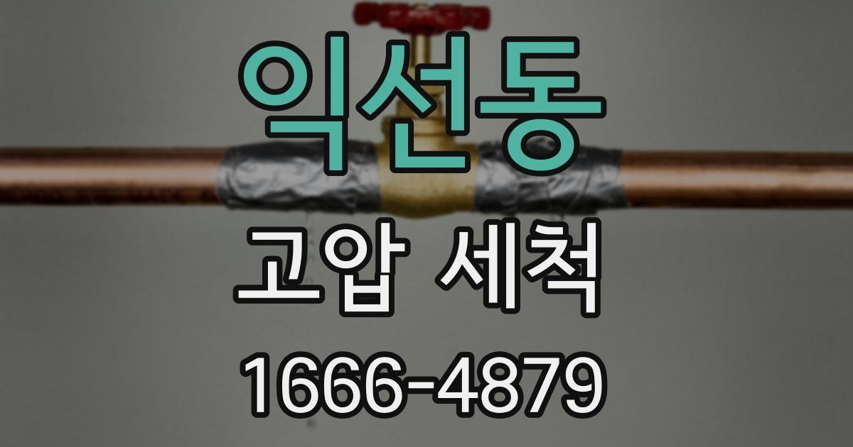 익선동 고압 세척