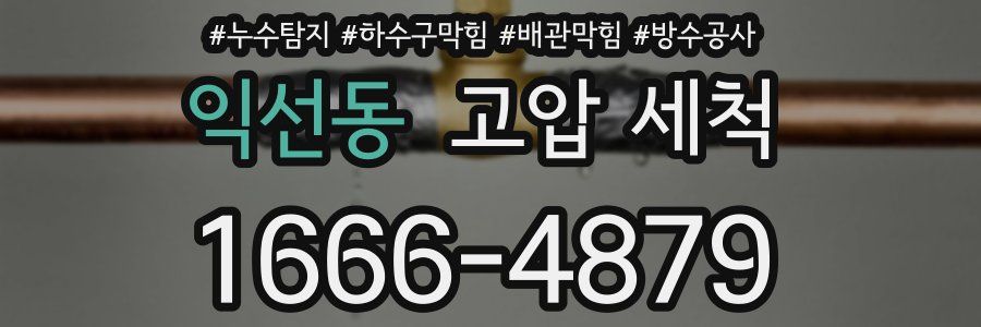 익선동 고압 세척