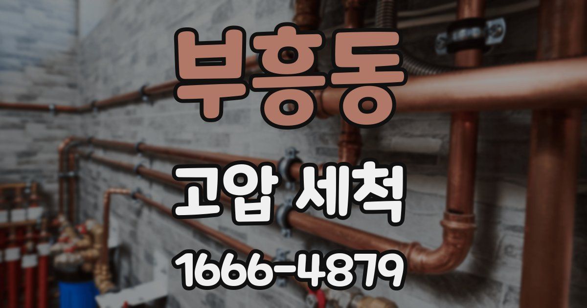 부흥동 고압 세척
