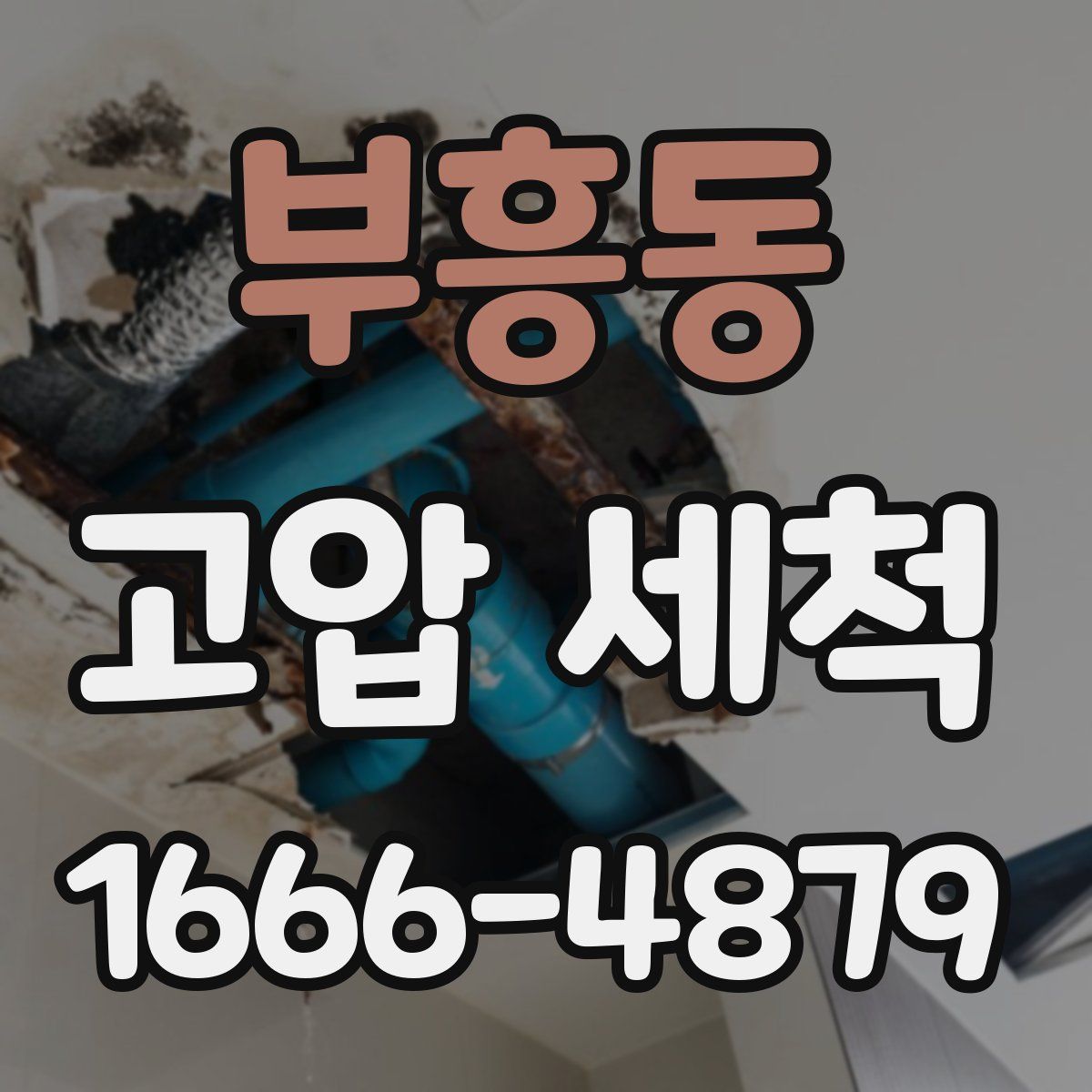 부흥동 고압 세척