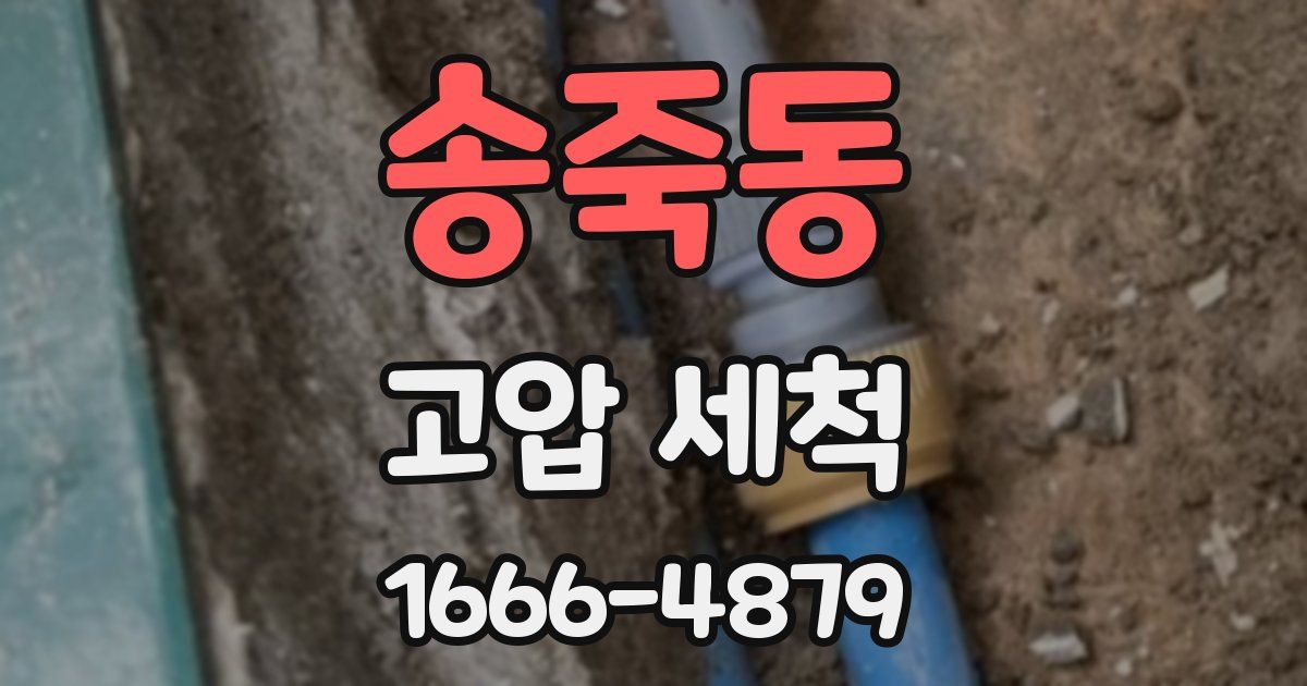 송죽동 고압 세척