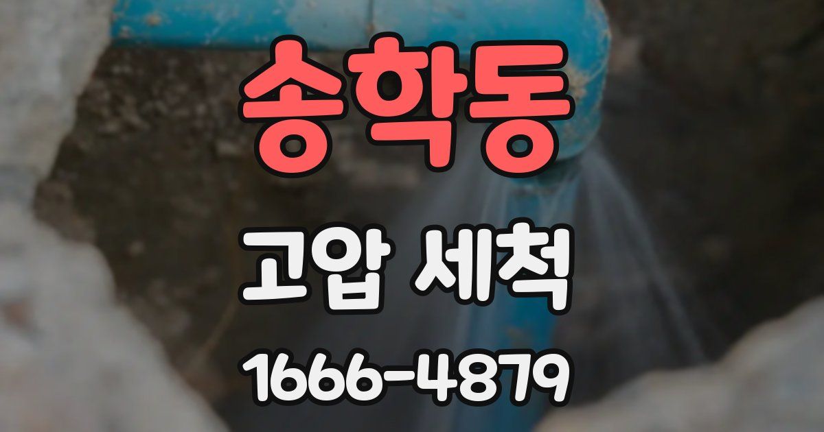 송학동 고압 세척