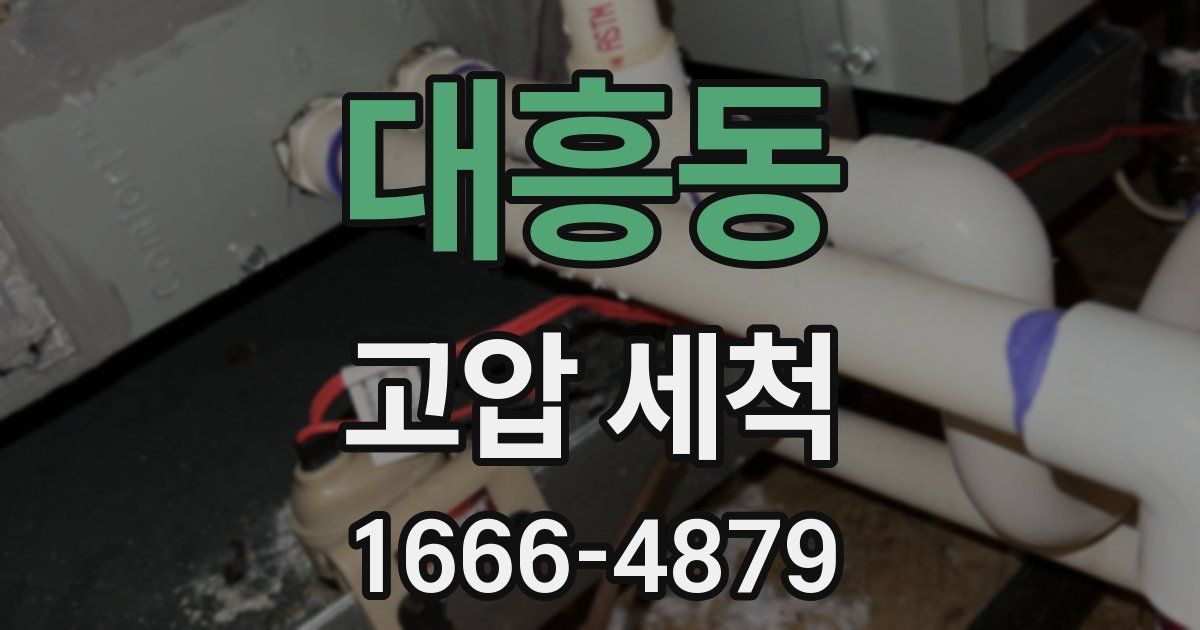 대흥동 고압 세척