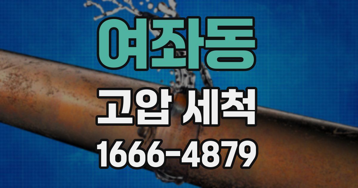 여좌동 고압 세척