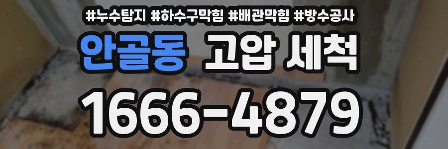 안골동 고압 세척