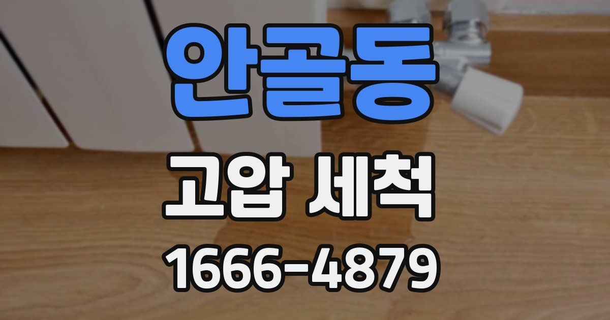안골동 고압 세척