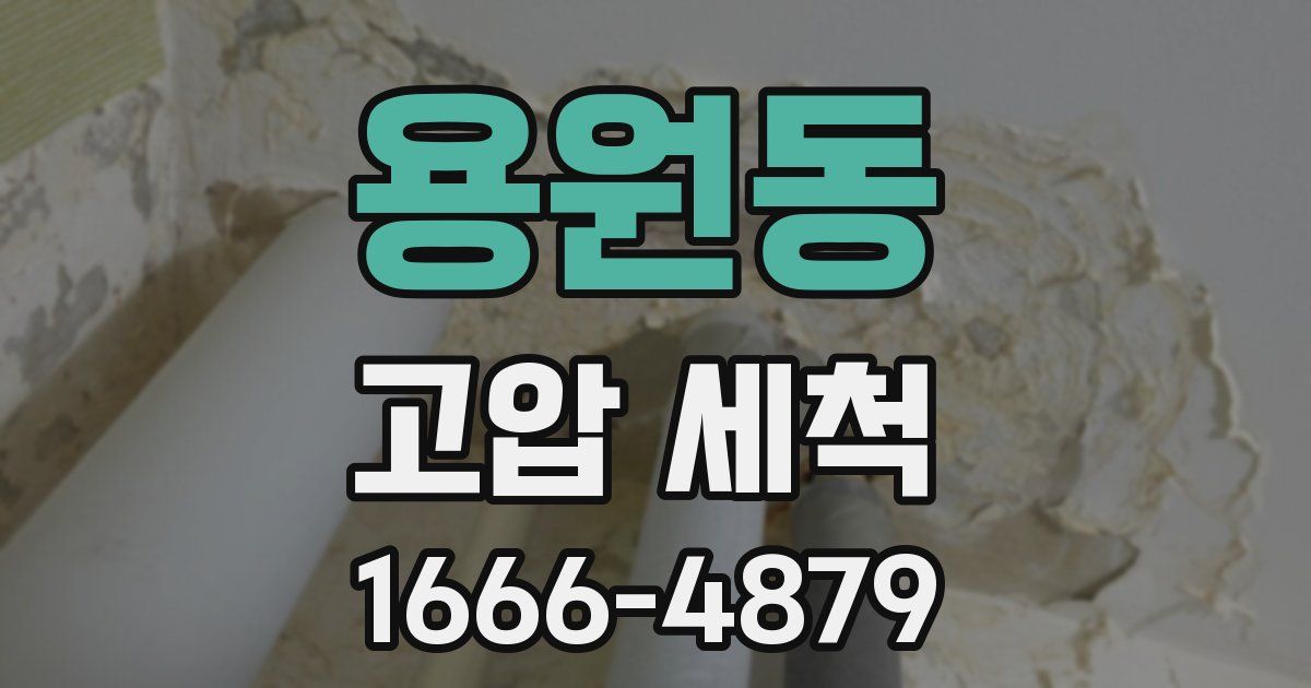 용원동 고압 세척