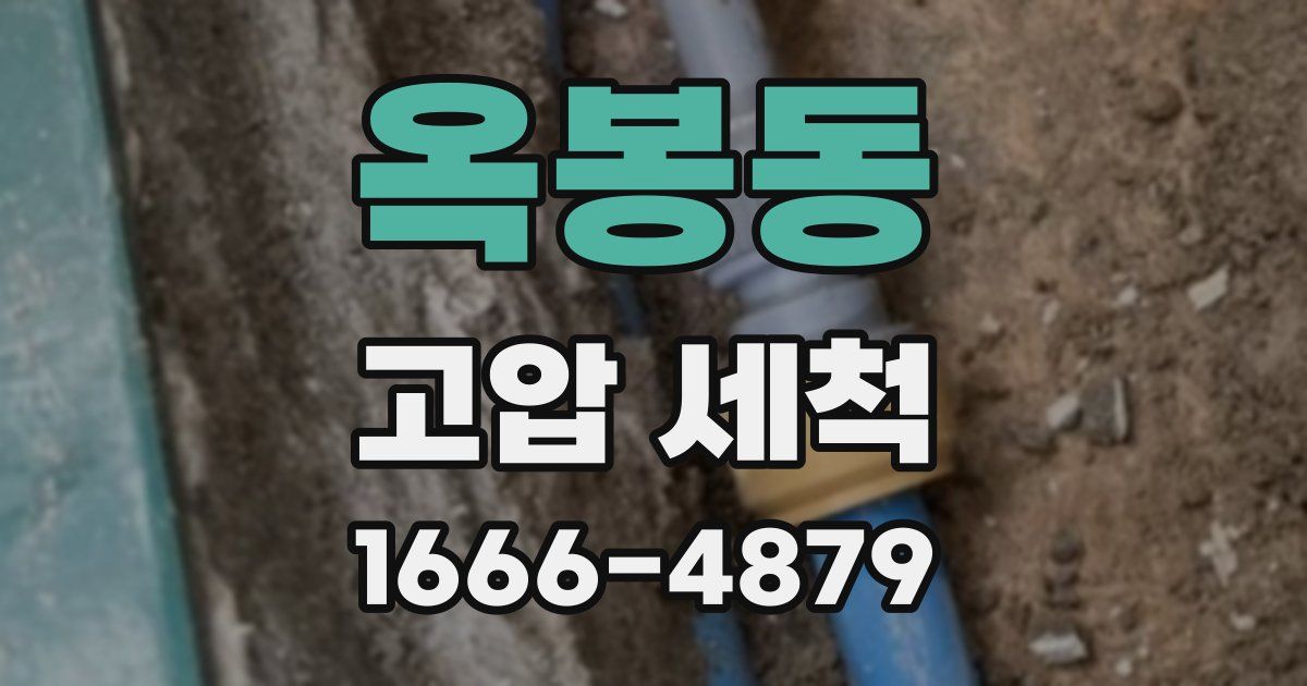 옥봉동 고압 세척