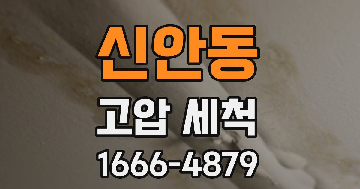 신안동 고압 세척