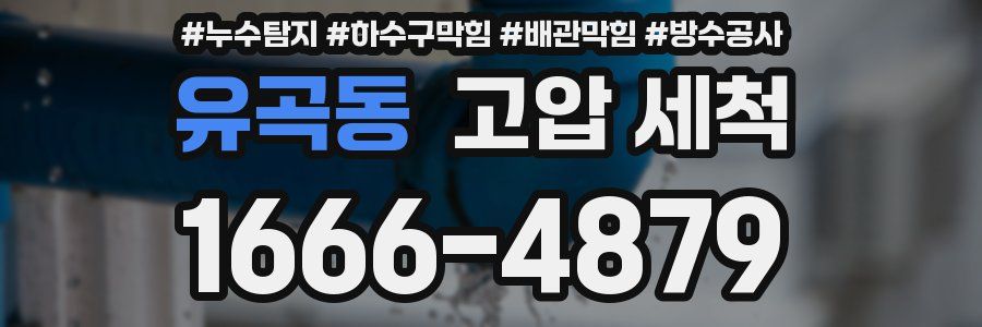 유곡동 고압 세척