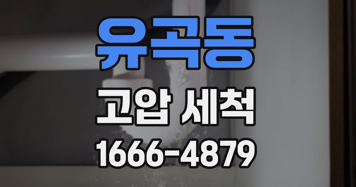 유곡동 고압 세척