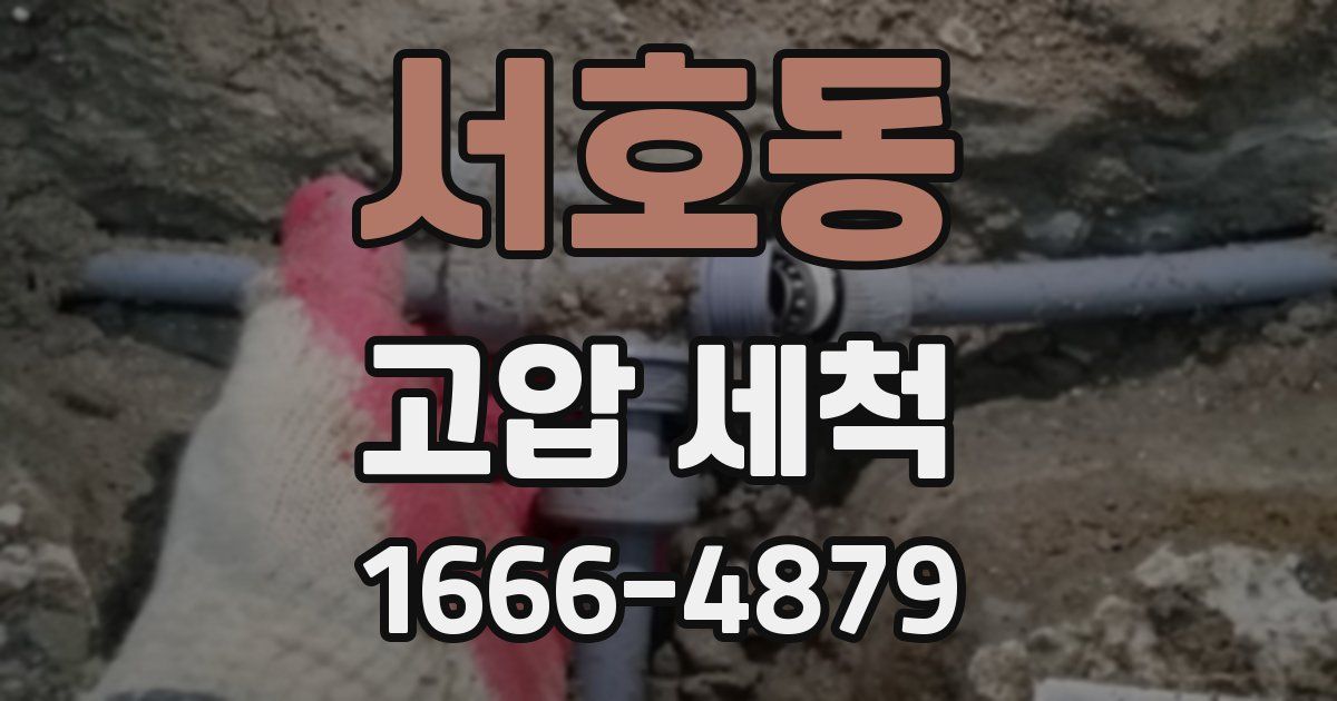 서호동 고압 세척