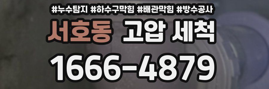 서호동 고압 세척