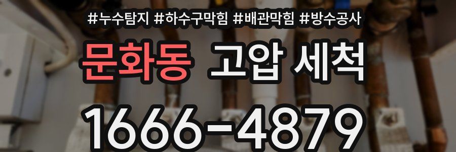 문화동 고압 세척