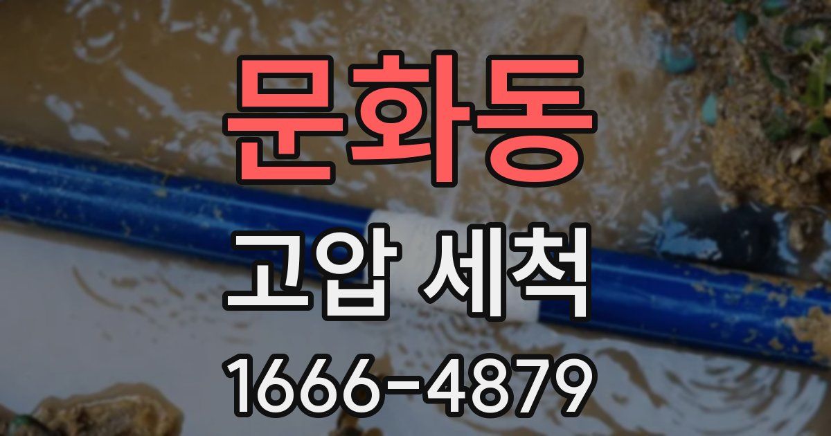 문화동 고압 세척