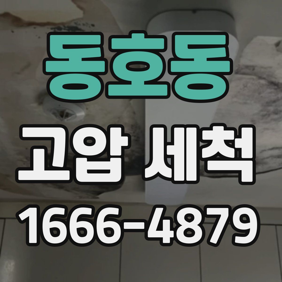 동호동 고압 세척