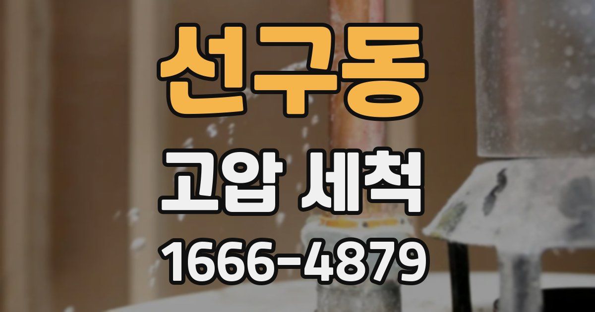 선구동 고압 세척