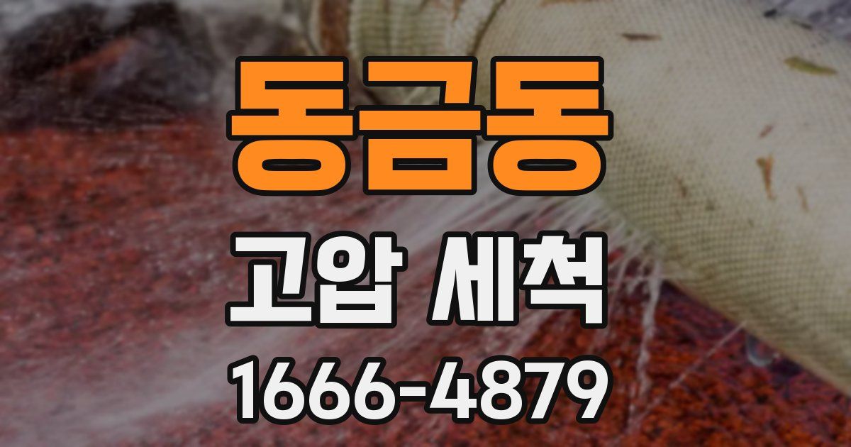 동금동 고압 세척
