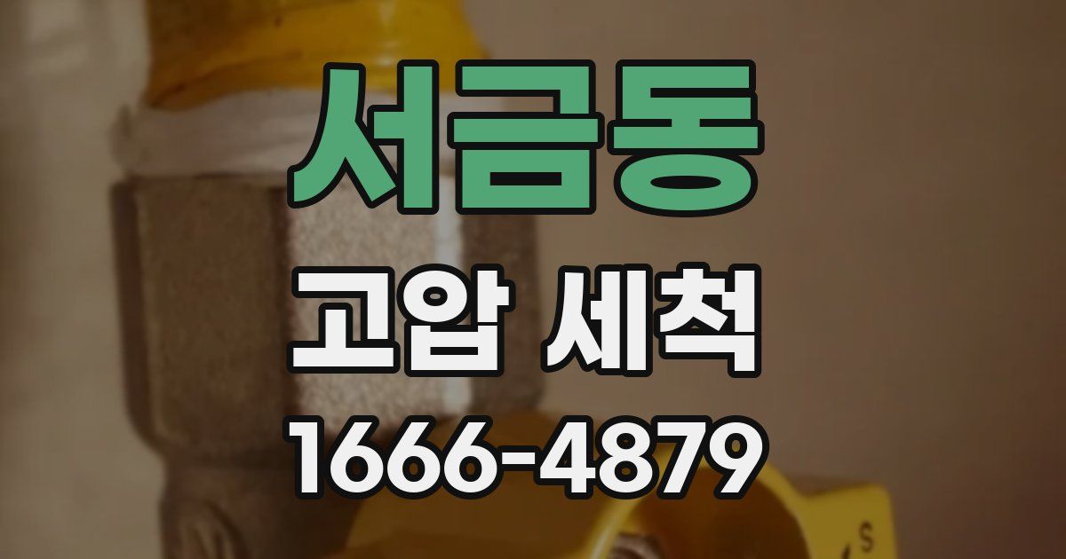 서금동 고압 세척