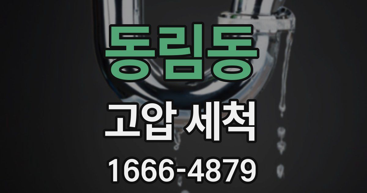 동림동 고압 세척