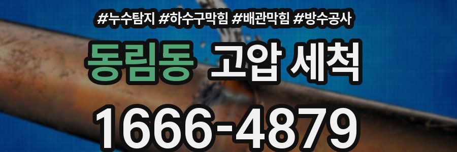 동림동 고압 세척