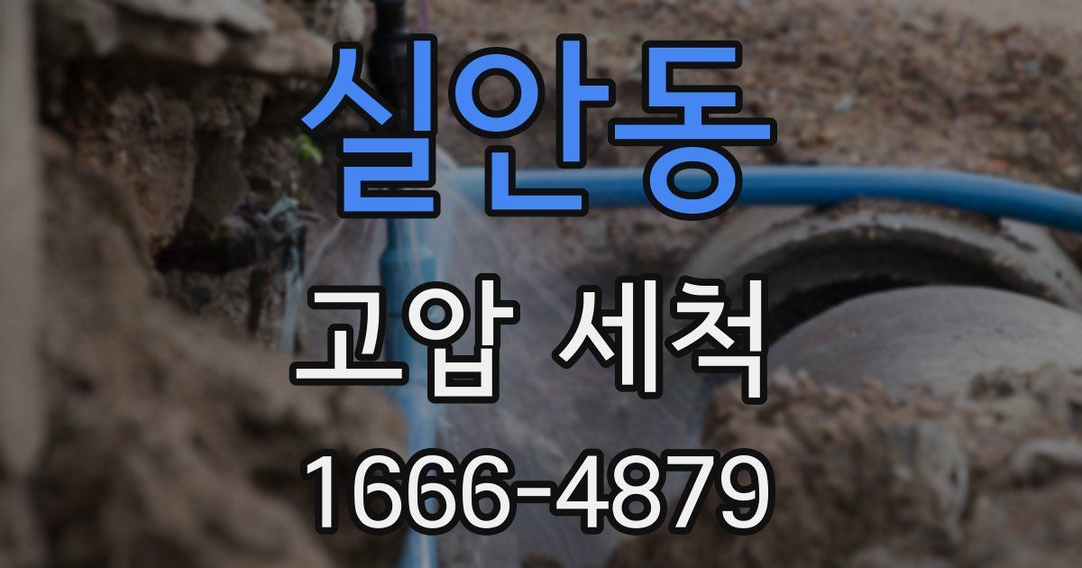 실안동 고압 세척
